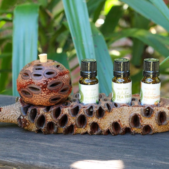 Large Essential Oil Stand