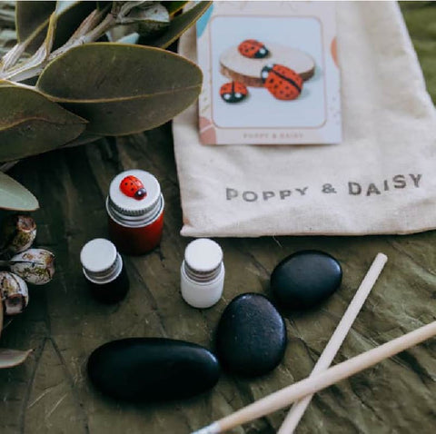 Ladybird Rocks Mini Eco Bags