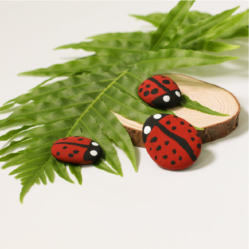 Ladybird Rocks Mini Eco Bags